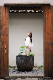 女系家族